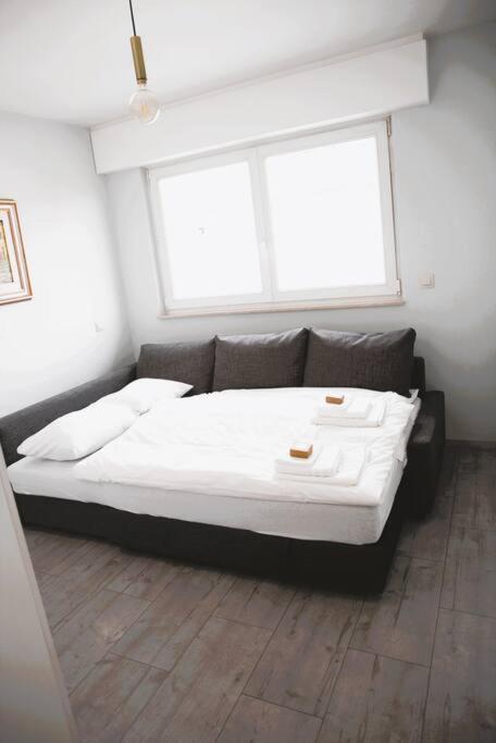 Charming Modern 2 Bedroom Apartment Alzingen Εξωτερικό φωτογραφία